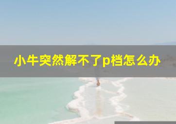 小牛突然解不了p档怎么办