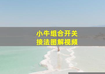 小牛组合开关接法图解视频