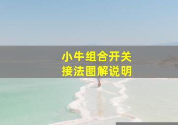 小牛组合开关接法图解说明