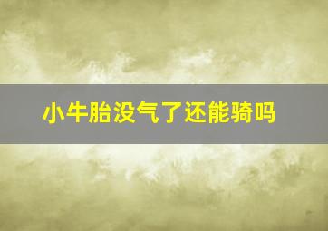 小牛胎没气了还能骑吗