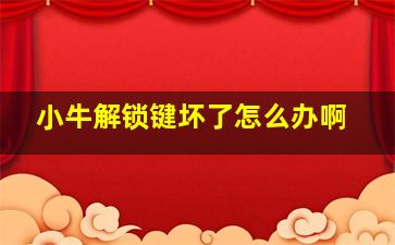 小牛解锁键坏了怎么办啊