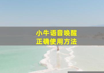 小牛语音唤醒正确使用方法