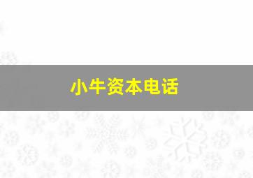 小牛资本电话