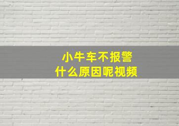 小牛车不报警什么原因呢视频