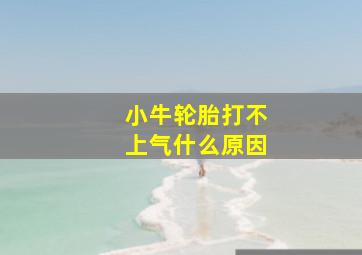 小牛轮胎打不上气什么原因