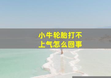 小牛轮胎打不上气怎么回事