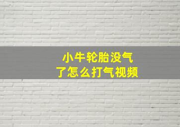 小牛轮胎没气了怎么打气视频