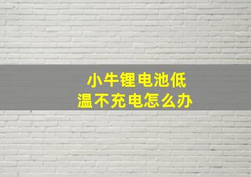 小牛锂电池低温不充电怎么办