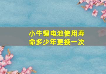 小牛锂电池使用寿命多少年更换一次