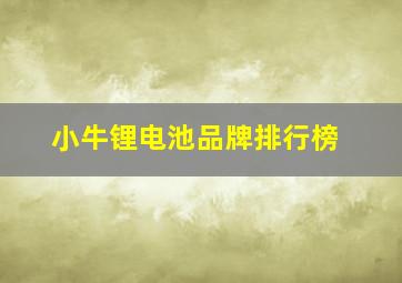 小牛锂电池品牌排行榜