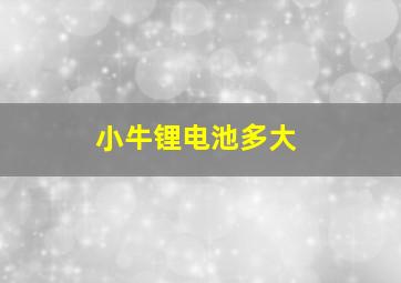 小牛锂电池多大