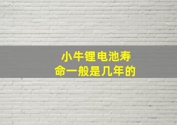 小牛锂电池寿命一般是几年的