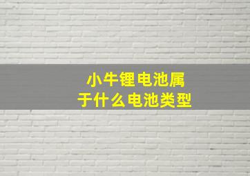 小牛锂电池属于什么电池类型