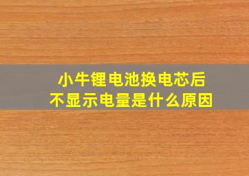 小牛锂电池换电芯后不显示电量是什么原因