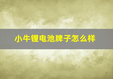 小牛锂电池牌子怎么样