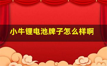 小牛锂电池牌子怎么样啊