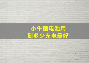 小牛锂电池用到多少充电最好