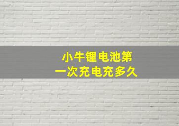 小牛锂电池第一次充电充多久