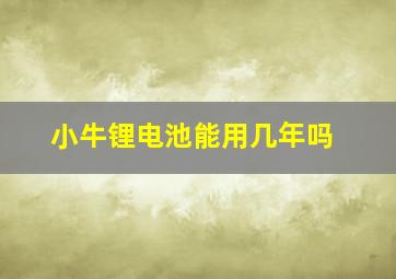 小牛锂电池能用几年吗