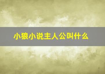 小狼小说主人公叫什么