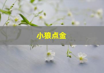 小狼点金