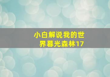 小白解说我的世界暮光森林17