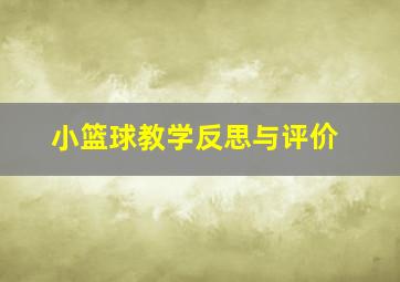 小篮球教学反思与评价