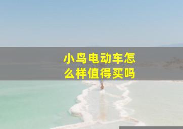 小鸟电动车怎么样值得买吗