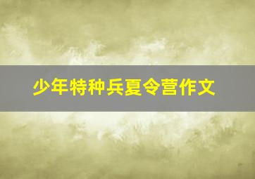 少年特种兵夏令营作文