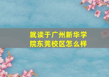 就读于广州新华学院东莞校区怎么样