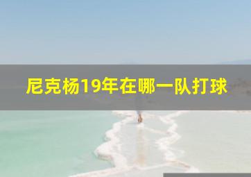 尼克杨19年在哪一队打球