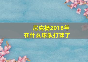 尼克杨2018年在什么球队打球了