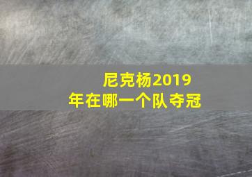 尼克杨2019年在哪一个队夺冠