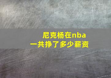 尼克杨在nba一共挣了多少薪资