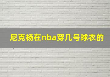 尼克杨在nba穿几号球衣的