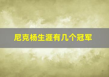 尼克杨生涯有几个冠军