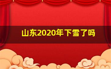 山东2020年下雪了吗