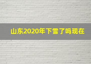 山东2020年下雪了吗现在