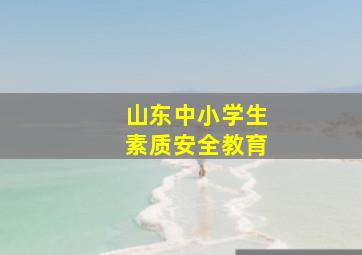 山东中小学生素质安全教育