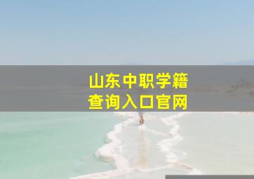 山东中职学籍查询入口官网