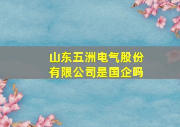 山东五洲电气股份有限公司是国企吗