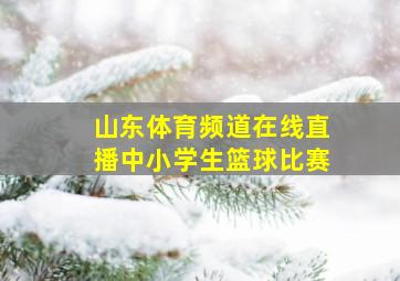 山东体育频道在线直播中小学生篮球比赛