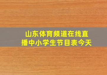 山东体育频道在线直播中小学生节目表今天