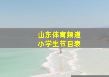 山东体育频道小学生节目表