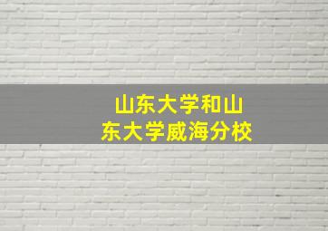 山东大学和山东大学威海分校