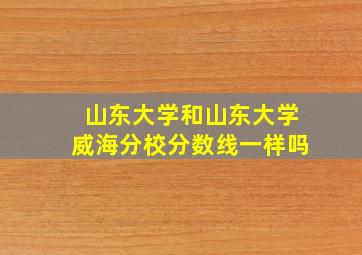 山东大学和山东大学威海分校分数线一样吗