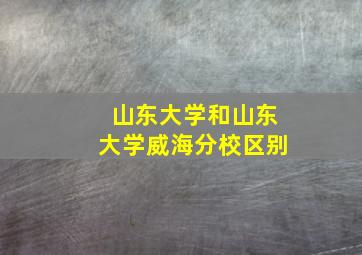 山东大学和山东大学威海分校区别