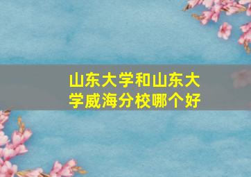 山东大学和山东大学威海分校哪个好