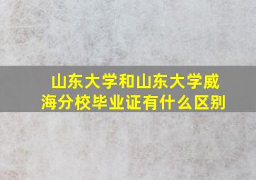 山东大学和山东大学威海分校毕业证有什么区别