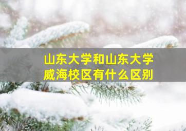 山东大学和山东大学威海校区有什么区别